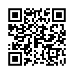 0876313004 QRCode