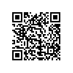 1111Y2500220JQT QRCode