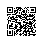 1111Y2K0P900BQT QRCode