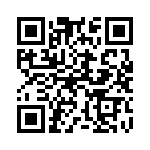 135D256X9125T6 QRCode