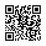 2907626 QRCode