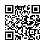 353NB3I015T QRCode