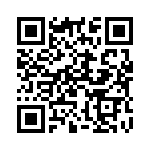 390105 QRCode