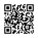 41FR33E QRCode