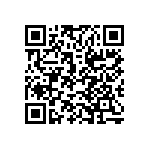 9T06031A5100FBHFT QRCode