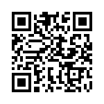 BFC233845334 QRCode