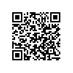 D55342E07B499ARWS QRCode