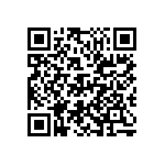 D55342E07B499ERWS QRCode