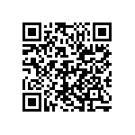 D55342E07B619EPWS QRCode