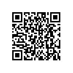 DW-04-17-T-S-256 QRCode