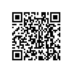 MKP385539063JPM4T0 QRCode