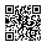 P4KE43A QRCode