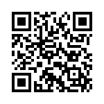 R46KF310040P1M QRCode