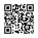 RN55C1332BRSL QRCode