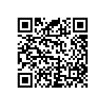 RNC55J2941BSRSL QRCode