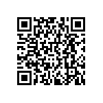 RNCF0402DKE3K01 QRCode