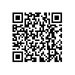 RNCF1206BKE301R QRCode