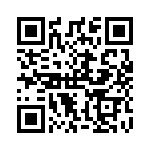 RSA22DTKS QRCode