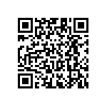 RT1206BRC0743KL QRCode