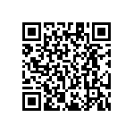 RT1206FRE079K53L QRCode