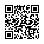 T38038-13-0 QRCode