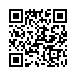 T38335-13-0 QRCode