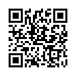 TT13D3T QRCode