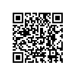 0505J3001P60BQT QRCode