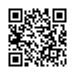 09300241295 QRCode