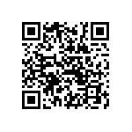 09553566615741 QRCode