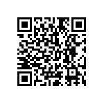 1111Y1K03P90BQT QRCode