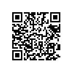 1111Y2K04P00HQT QRCode