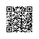 1111Y3006P80BQT QRCode