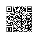 1111Y3009P10DQT QRCode