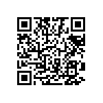 1111Y6300120KQT QRCode