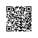 1111Y6303P30BQT QRCode