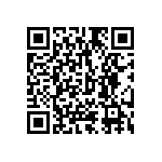 1111Y6305P60BQT QRCode