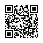 1251_166 QRCode