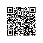 14110313010160 QRCode