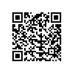 14110913001000 QRCode