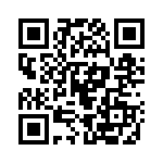 160138 QRCode