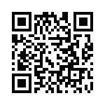 1727040173 QRCode