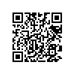 197-062-213L031 QRCode