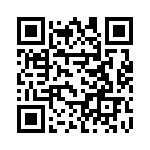 1N6376-E3-51 QRCode