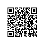 2225Y0250273JXT QRCode