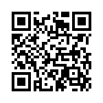 313R QRCode