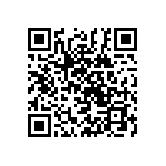 609176002021099 QRCode