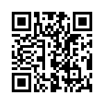 653P13306A2T QRCode