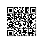 B32560J6104K189 QRCode