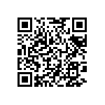 BCS-133-L-D-TE-013 QRCode